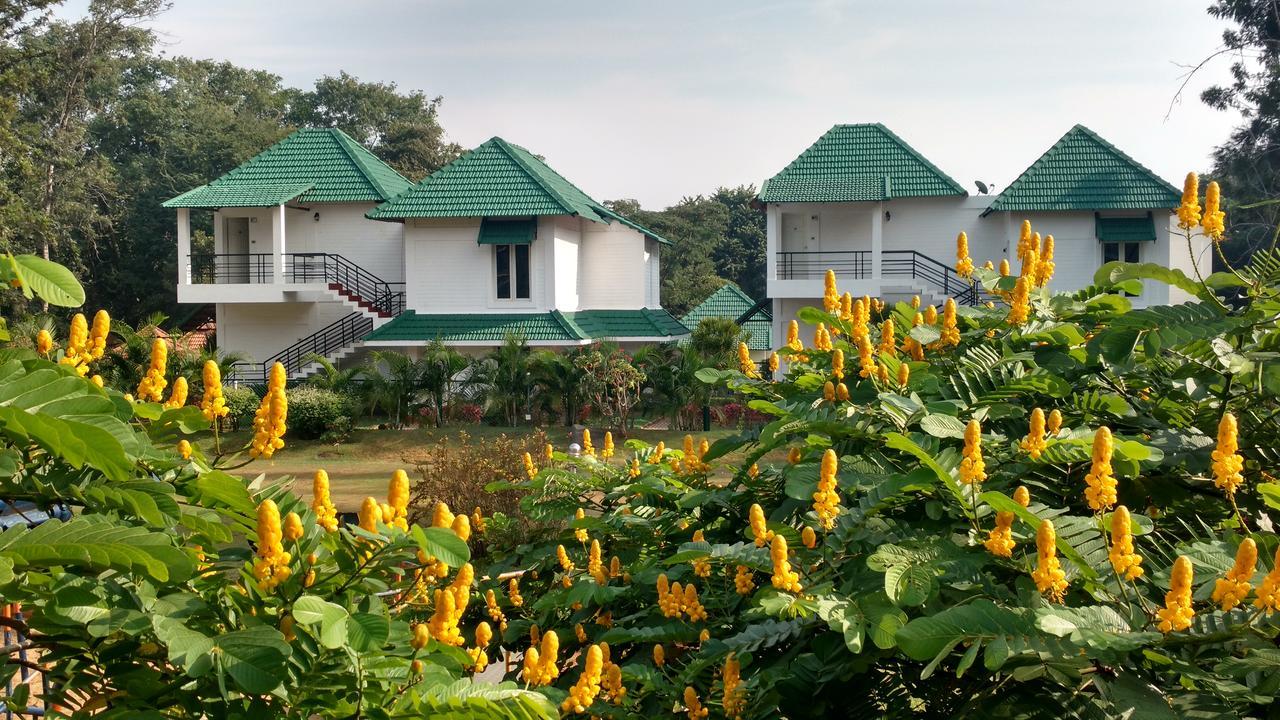 Young Island Resort Майсуру Екстер'єр фото